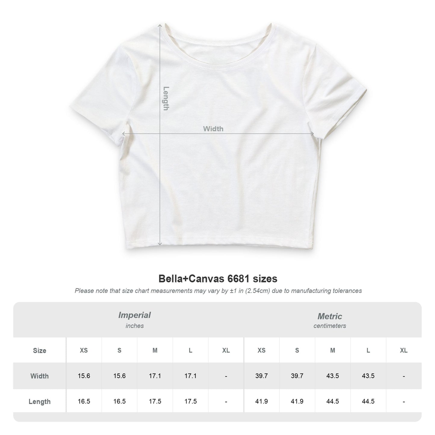 Icon Status Crop Tee